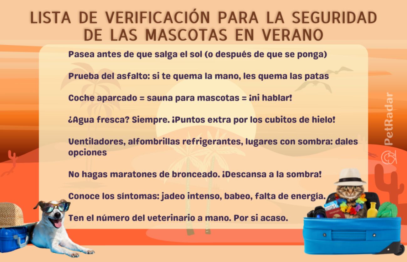 Divertida lista ilustrada para la seguridad de las mascotas en verano, con un perro con gafas de sol y un gato con una camisa hawaiana. Incluye consejos de seguridad contra el calor