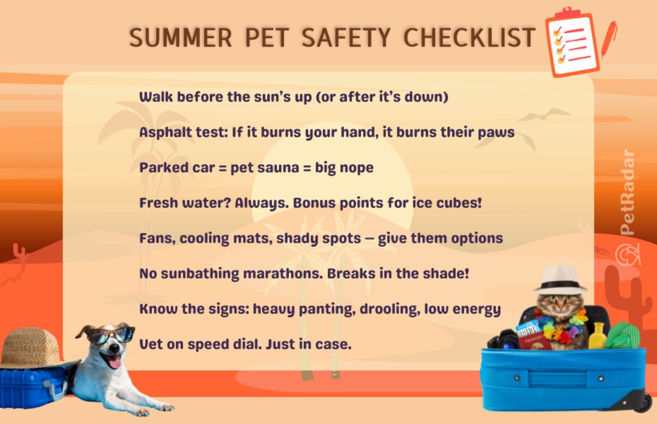 Funny illustrated checklist for summer pet safety, with a dog in sunglasses and a cat in a Hawaiian shirt. Includes heat safety tips