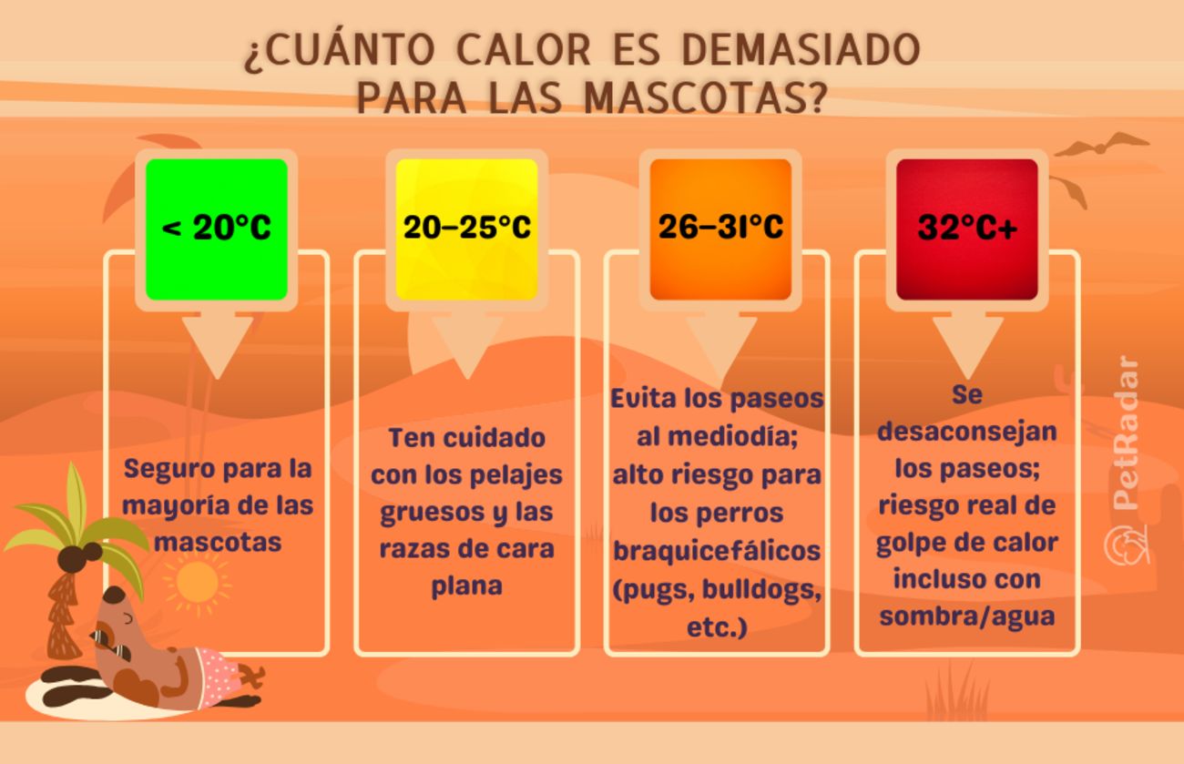 Infografía codificada por colores titulada «¿Cuánto calor es demasiado? Seguridad de las mascotas según la temperatura», que muestra los niveles de peligro para pasear a diferentes temperaturas