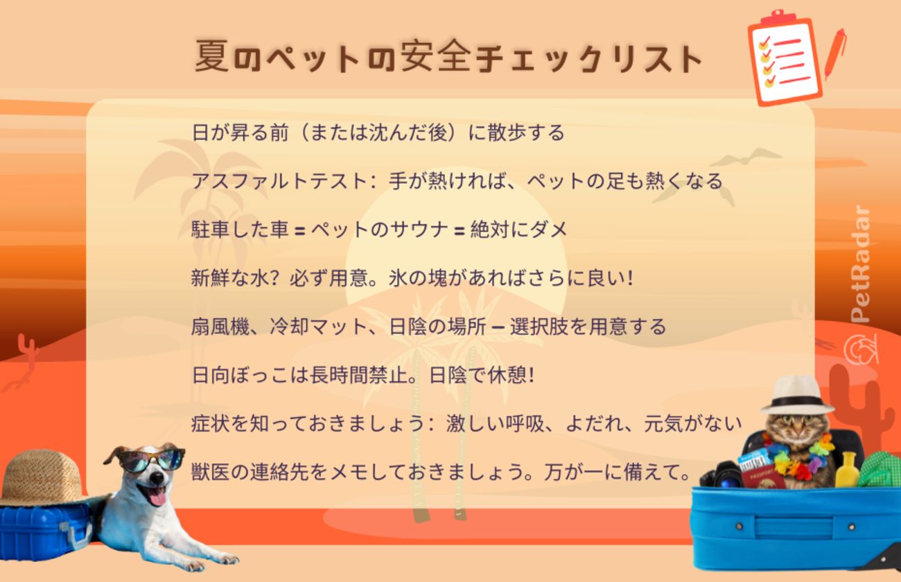 サングラスをかけた犬とハワイアンシャツを着た猫が描かれた、夏場のペットの安全に関する面白いイラスト付きチェックリスト。暑さ対策のヒントも掲載されている。