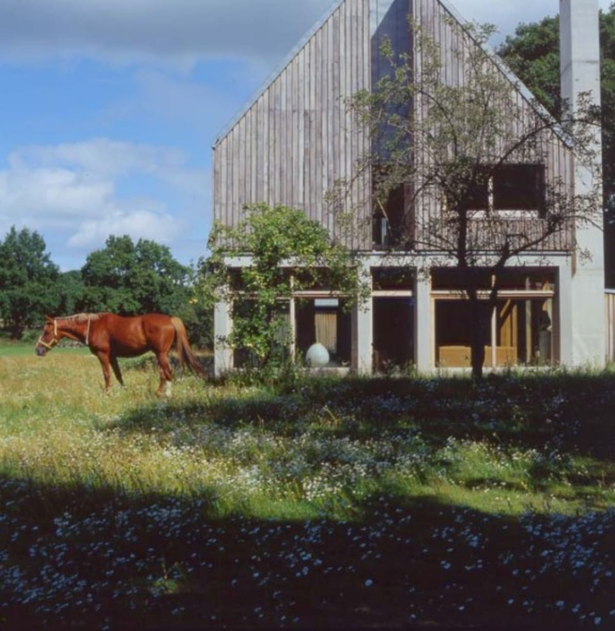 Whithurst Park location house at Carol Hayes Management