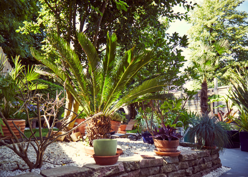 Outdoor_shoot_location_with_paved_garden_walk_locations_management_UK