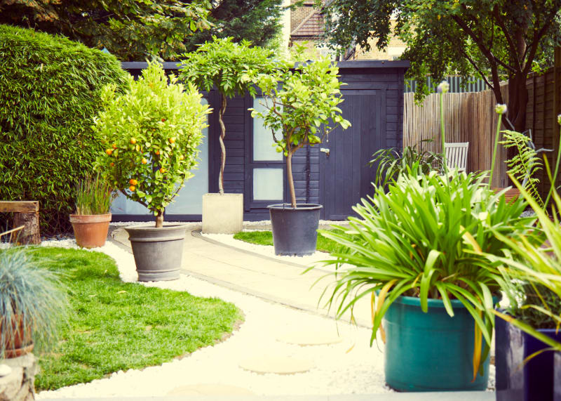 outdoor_front_of_black_shed_close_up_photoshoot_location_for_hire_uk_location_management_agency