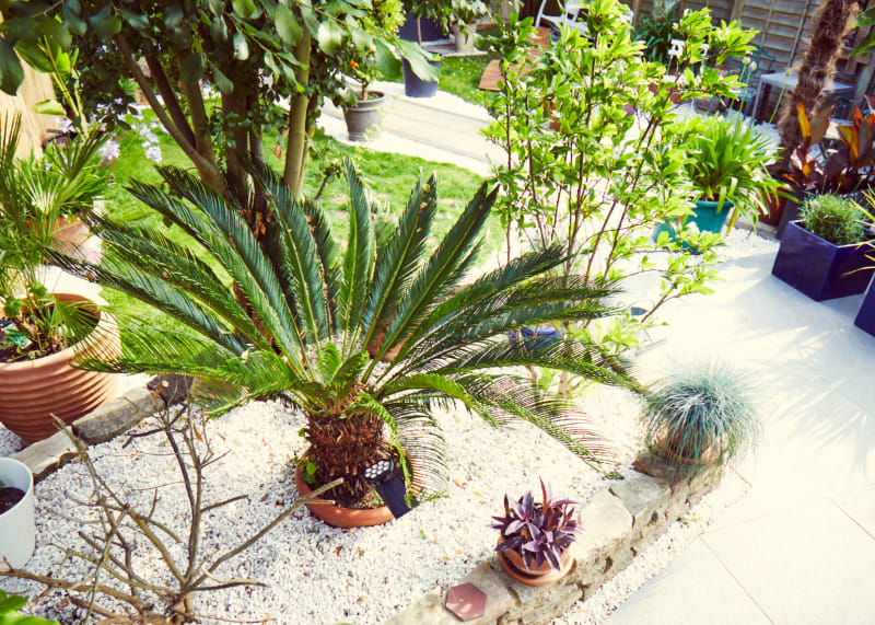 white_stone_pebbled_garden_city_town_house_photoshoot_location_shoot_locations_for_hire_uk
