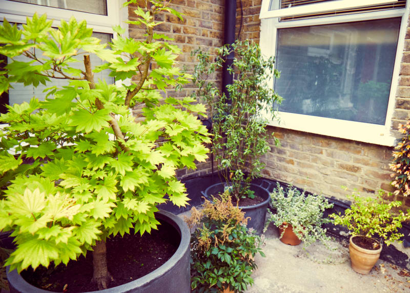 outdoor_window_brick_town_house_location_for_hire