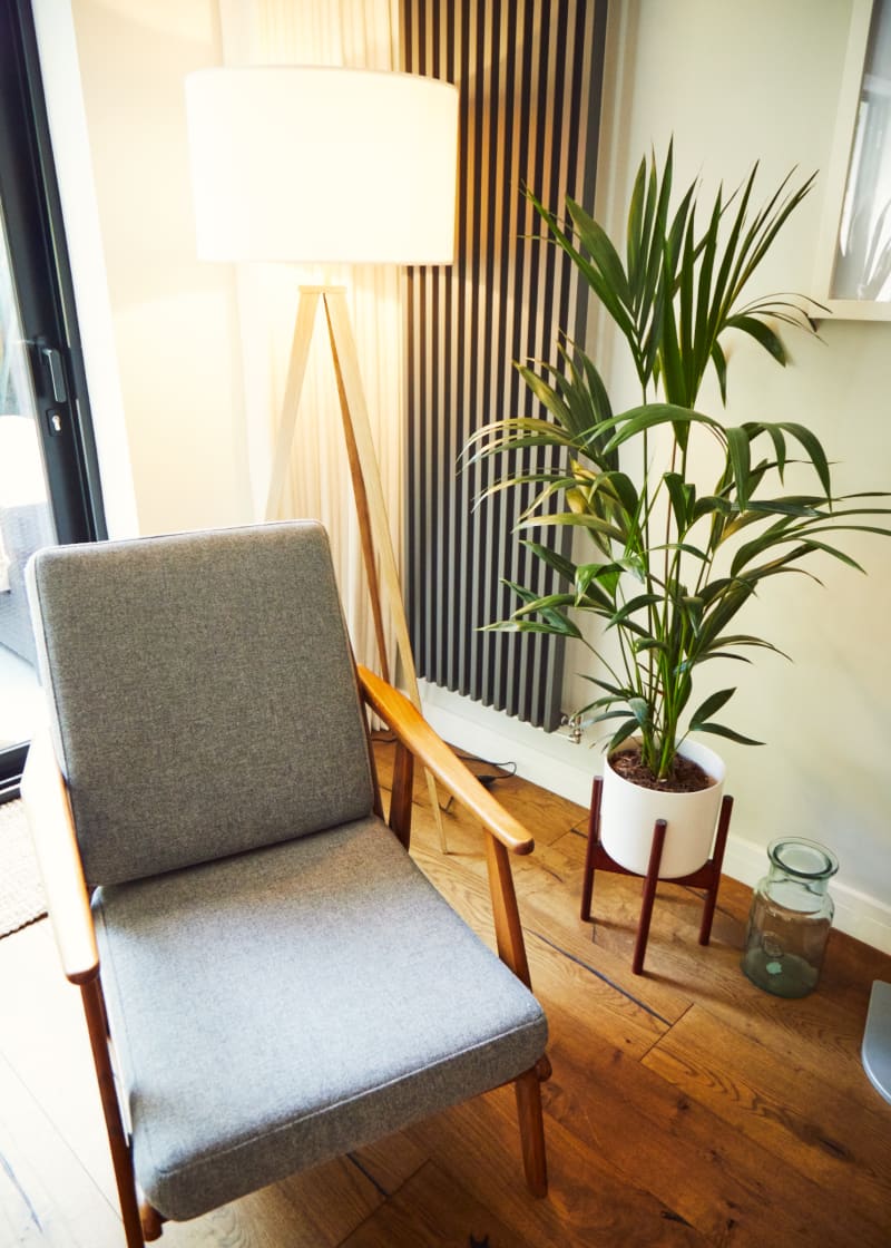 staged_modern_living_room_with_plants_house_location_photoshoots_film_tv_locations_for_hire_uk