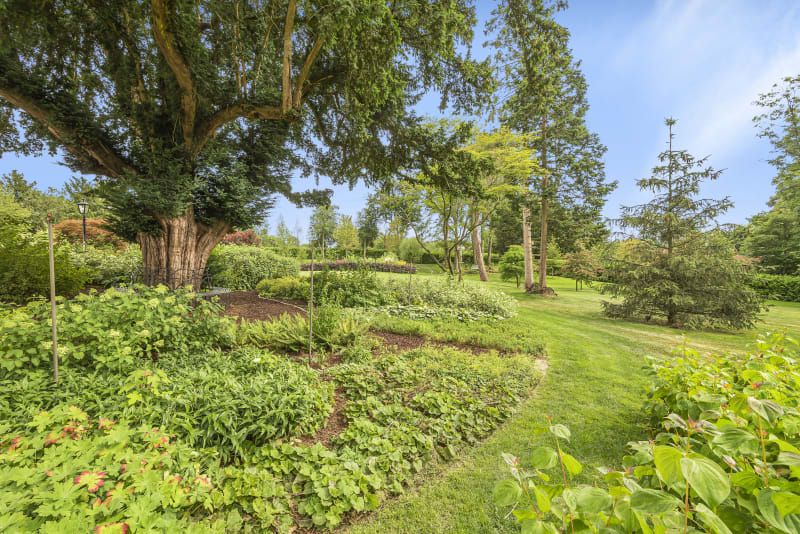 original_georgian_period_location_house_gardens_location_house_agency