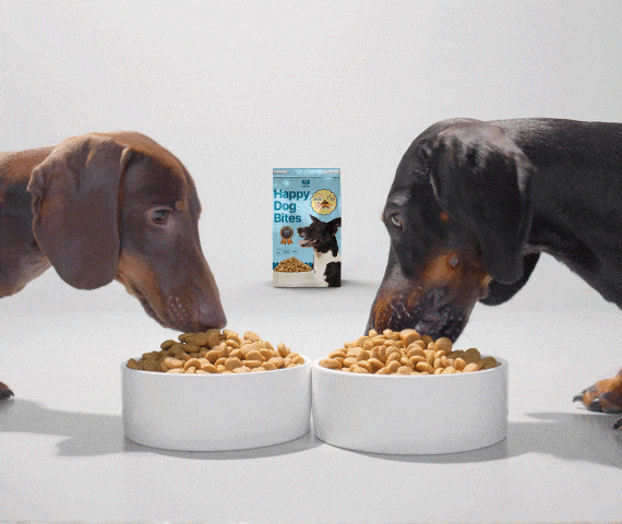 Two dogs eating from bowls with Happy Dog Bites product package