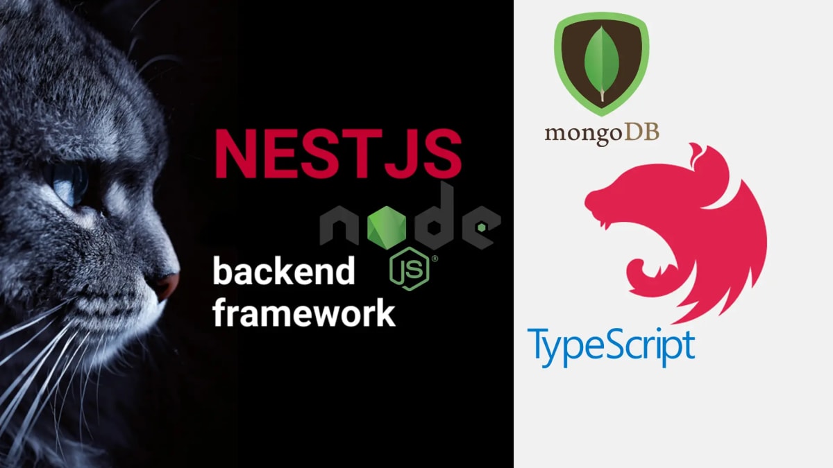 Khóa Học NestJs Zero - Xây Dựng Backend NodeJs Chuyên Nghiệp cùng Hỏi ...