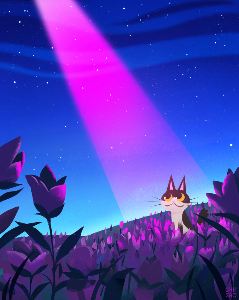 Little cat about to be abducted