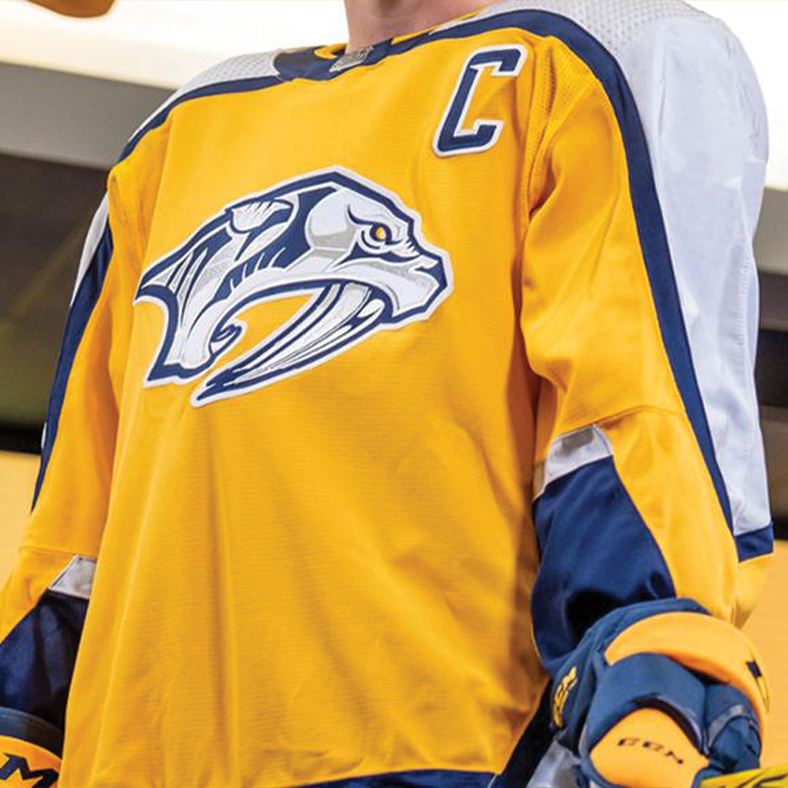 Predators reverse retro