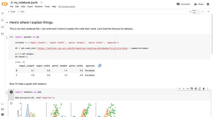 A Google Colab Notebook