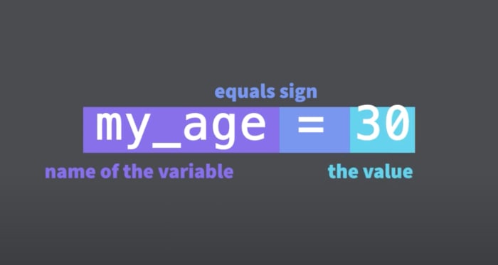 declare a variable in python