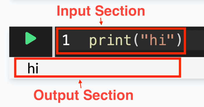 code cell input section and output section