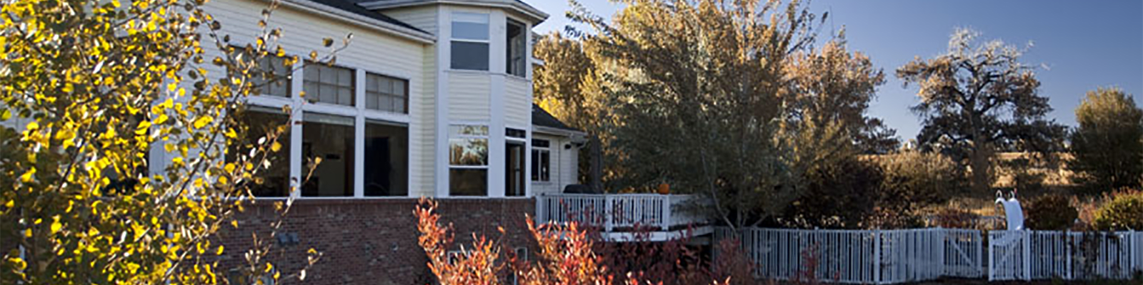 rose house home photo