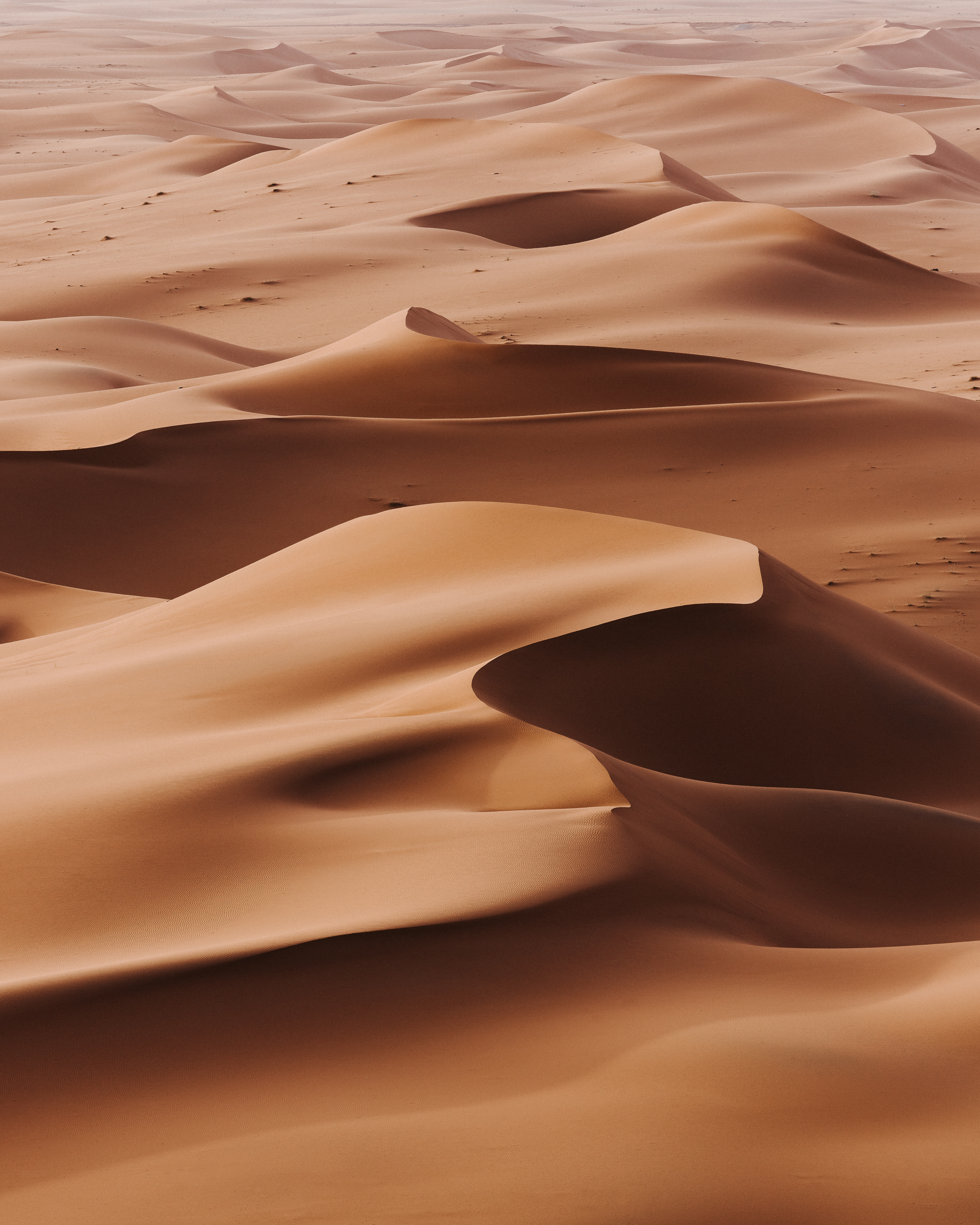 Saudi Arabia