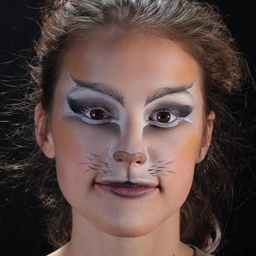 Cat 4