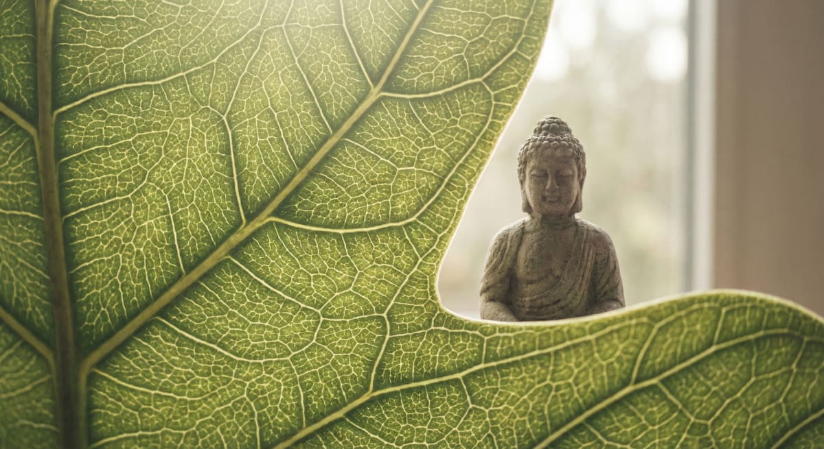 葉脈の微細な網目越しに静座する仏像