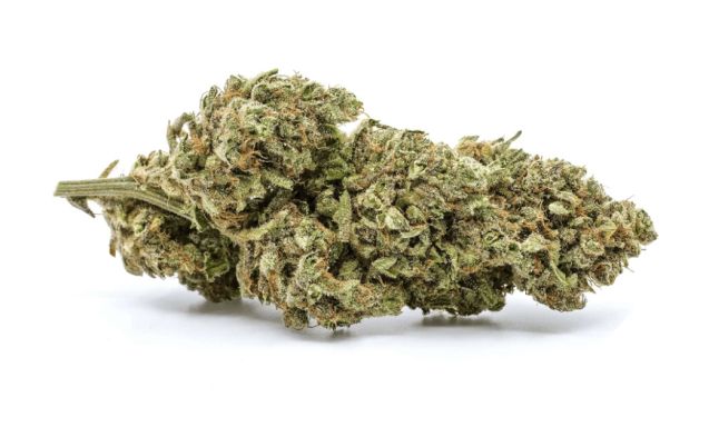 Best Quality Hybrid Cannabis Buds Canada