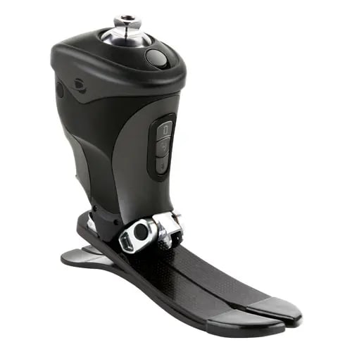 Leg
