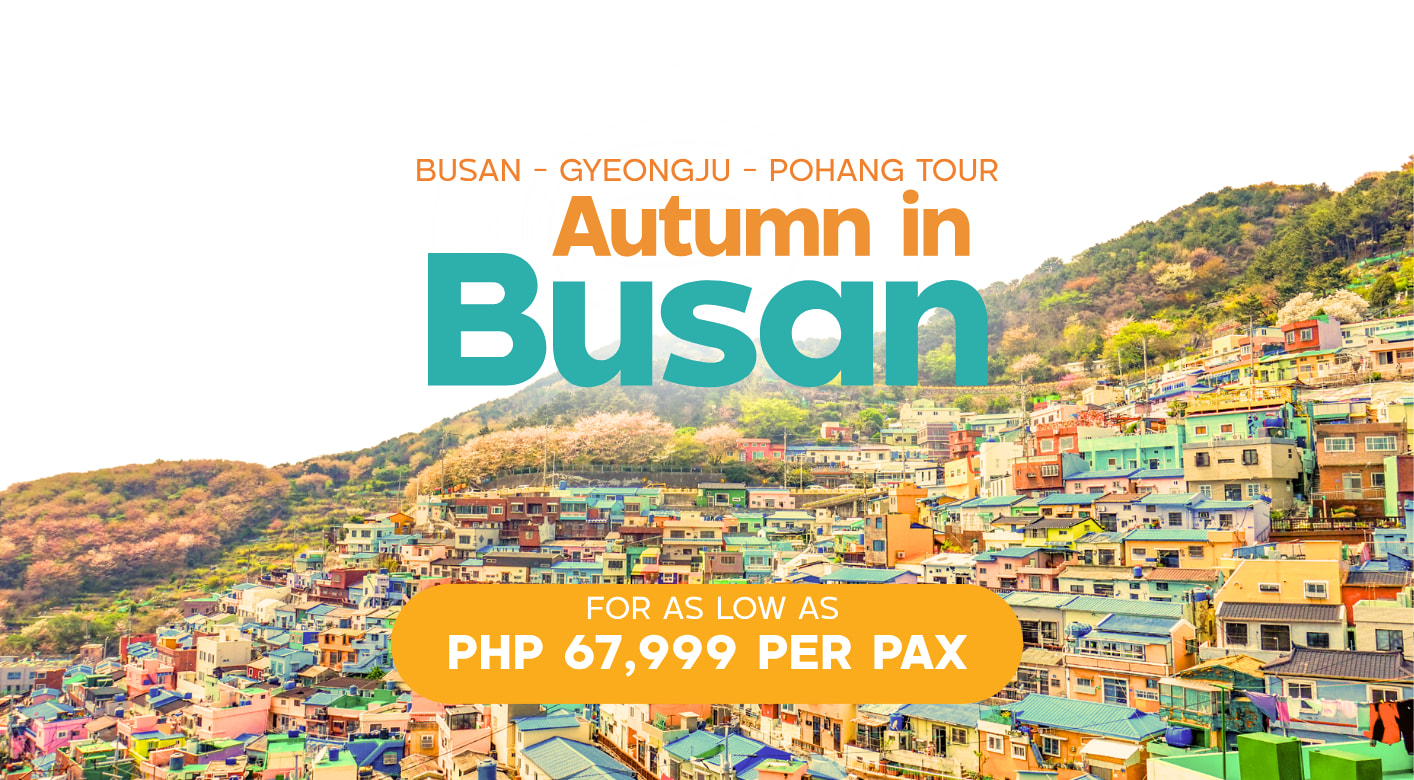 BUSAN - GYEONGJU - POHANG TOUR AUTUMN in BUSAN