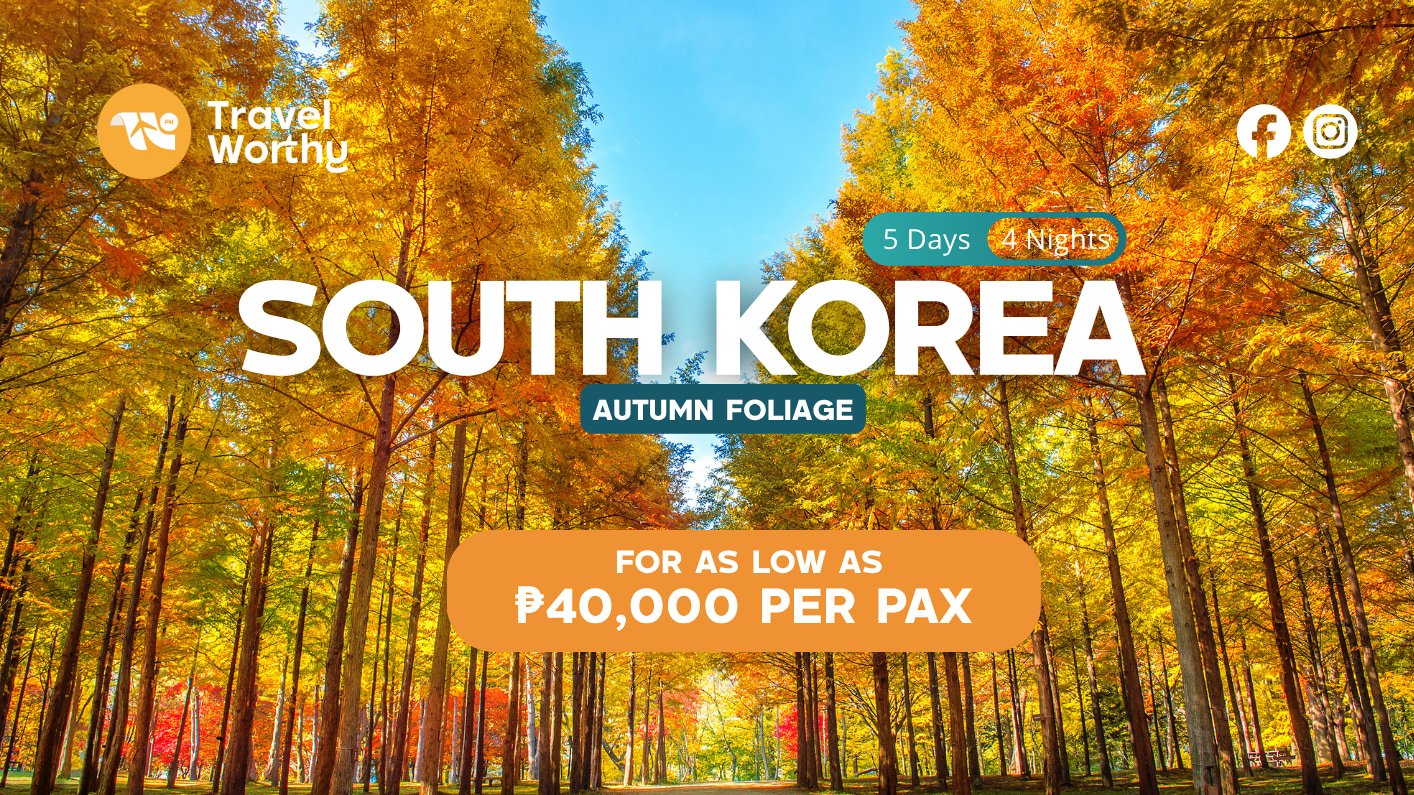 South Korea (Autumn Foliage