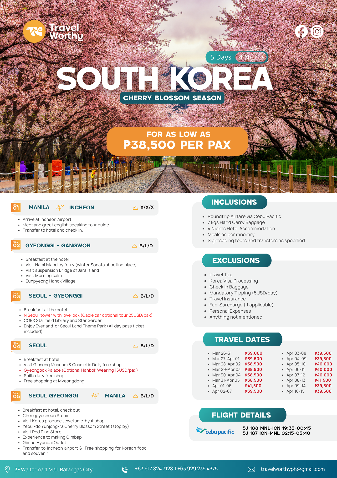 South Korea Cherry Blossom Season flier