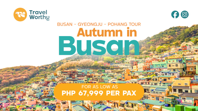 Autumn in Busan