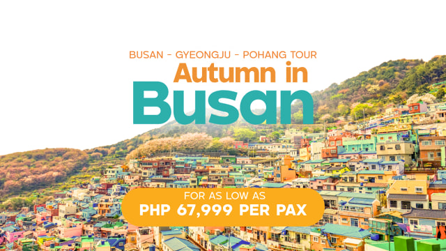 BUSAN - GYEONGJU - POHANG TOUR AUTUMN in BUSAN