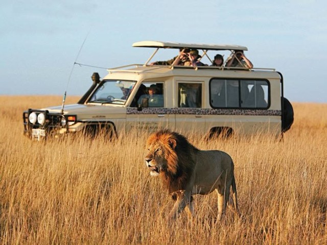 Africa
