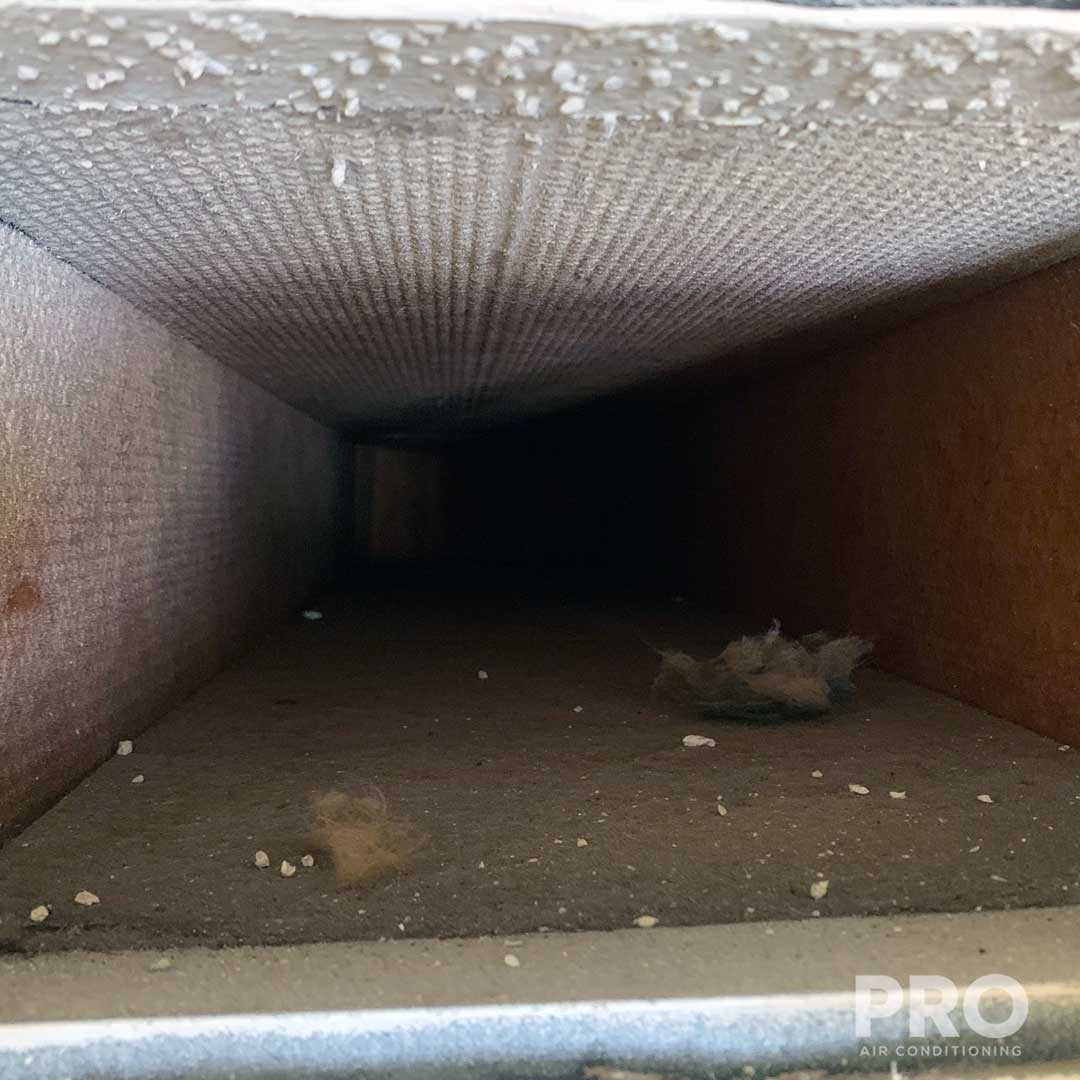 Duct Cleaning