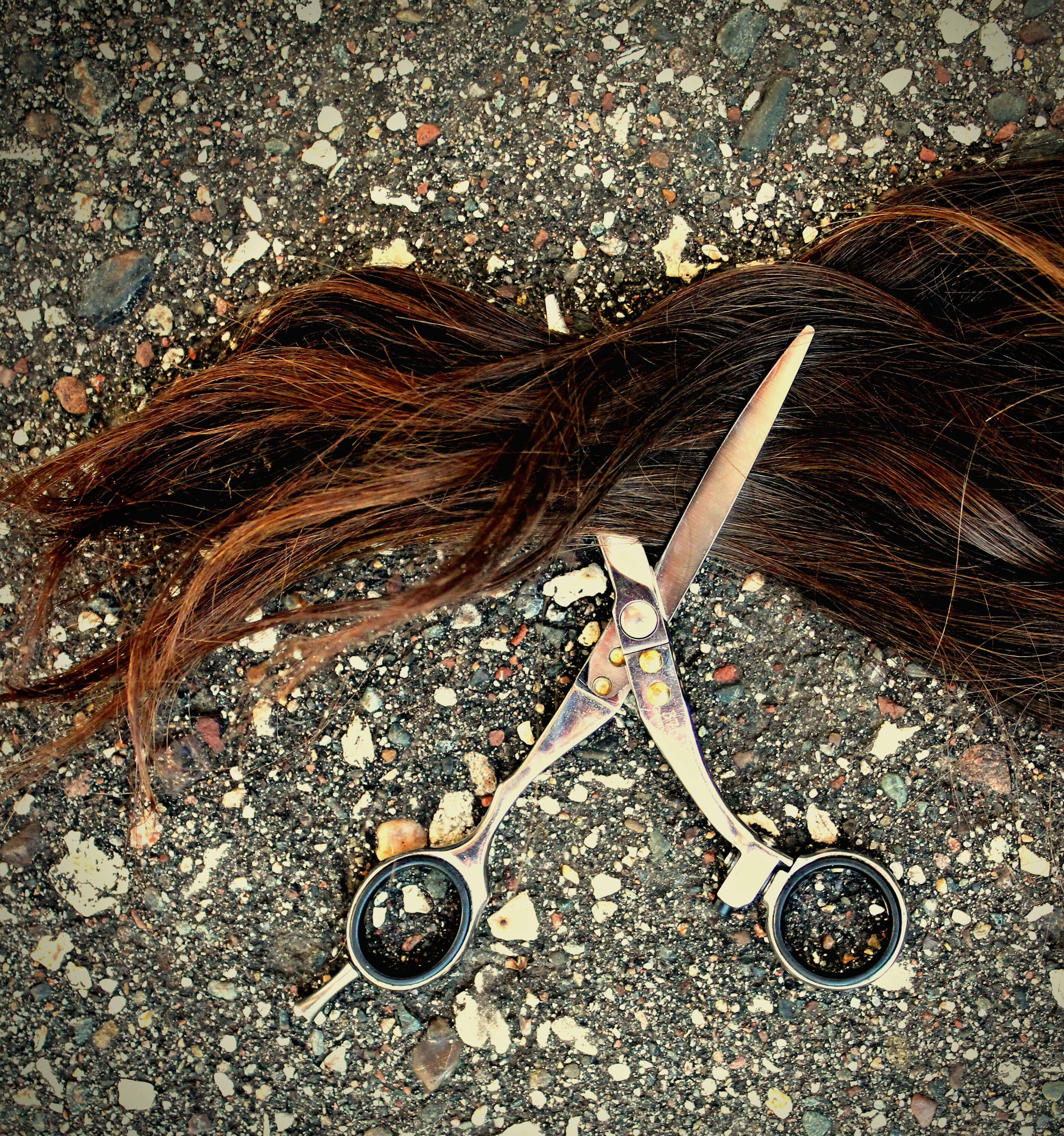 Hair and shears artsy photo