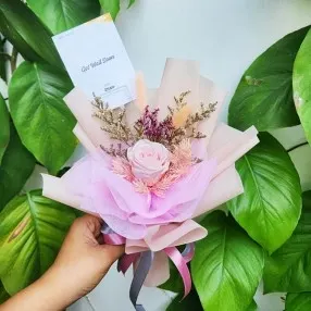 Testimonial Delovery dari Erliyana