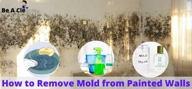 How to Remove Mold From Painted Walls