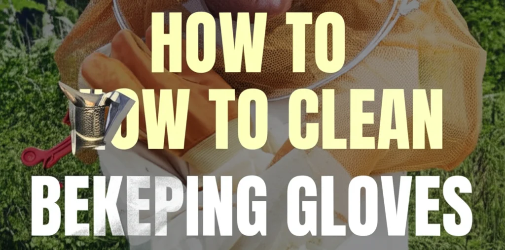 How To Clean Beekeeping Gloves