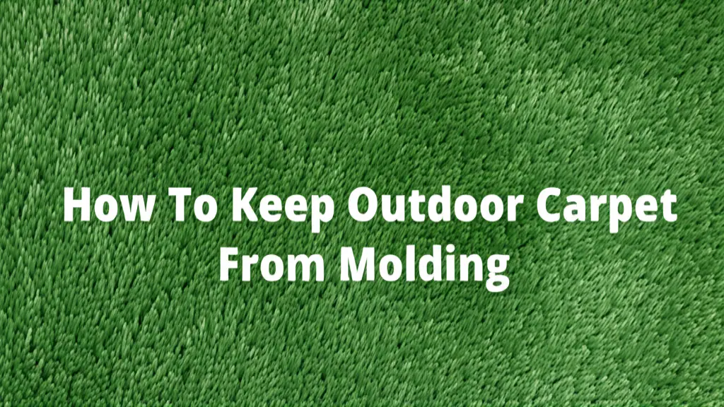 Worried about mold ruining your outdoor carpet? Learn proven strategies to prevent mold growth & keep your outdoor space fresh & inviting!