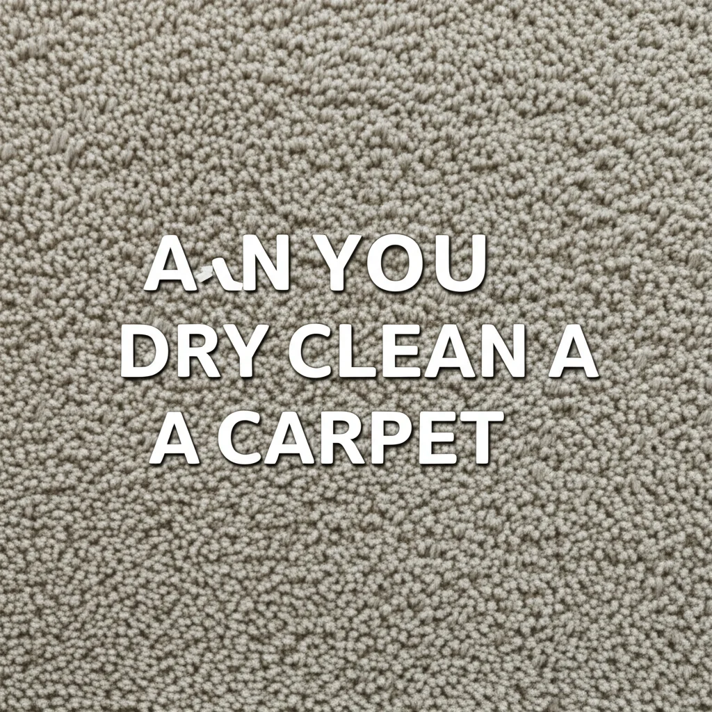 Can You Dry Clean A Carpet