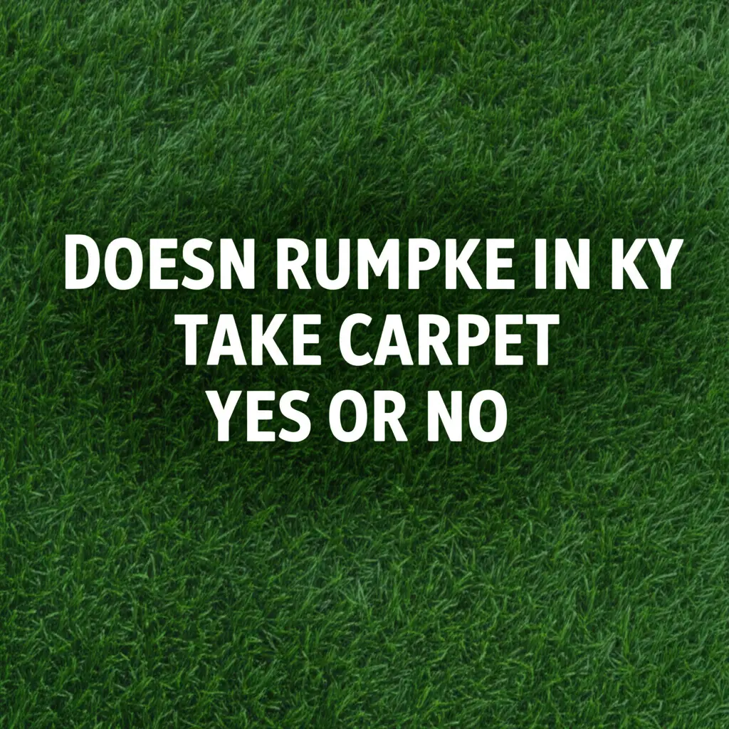 Doesn Rumpke In Ky Take Carpet Yes Or No