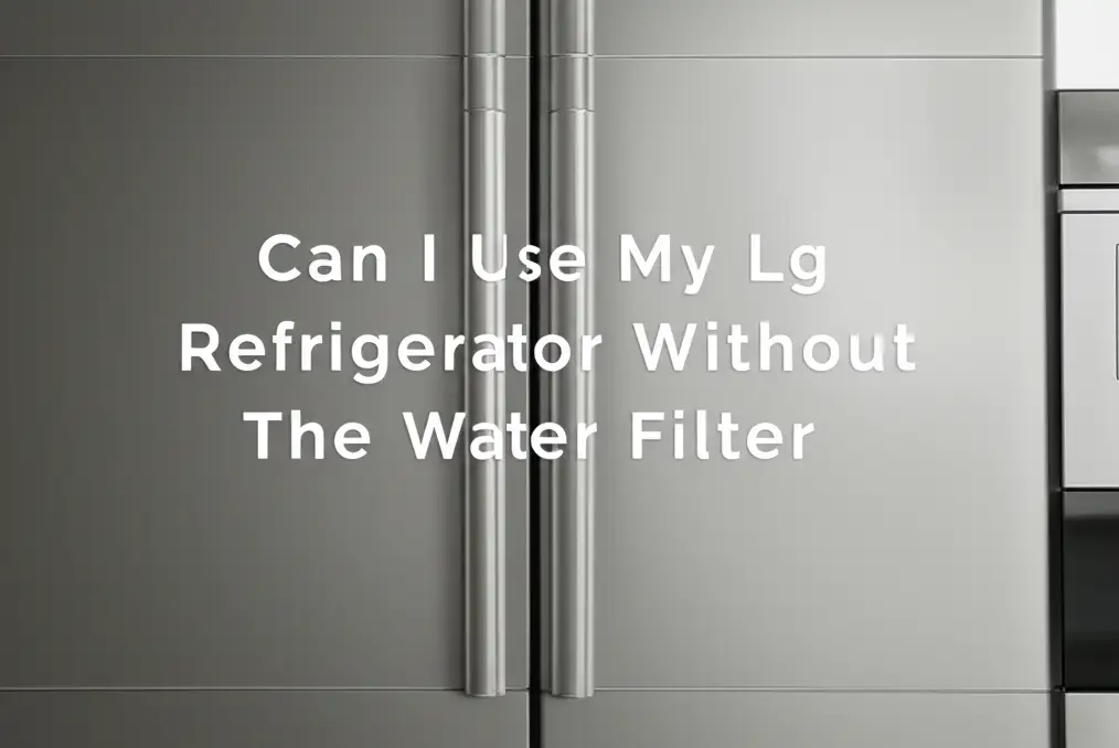 Can I Use My Lg Refrigerator Without The Water Filter