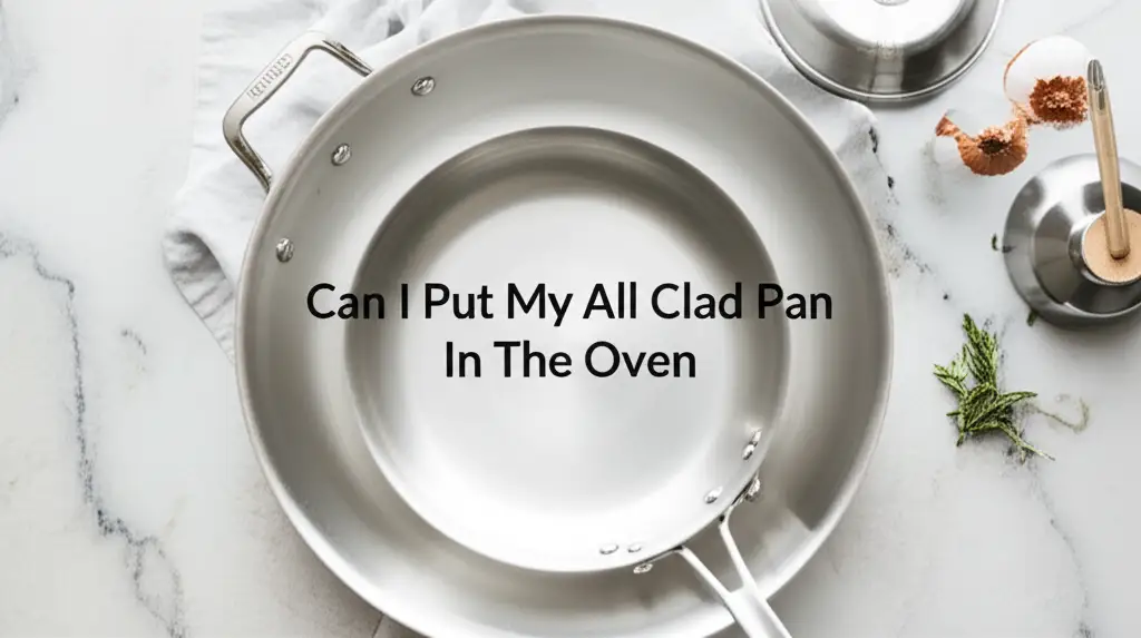 Can I Put My All Clad Pan In The Oven