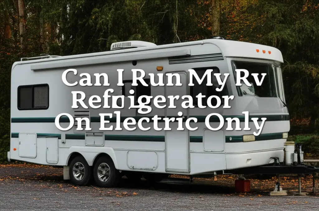 Can I Run My Rv Refrigerator On Electric Only