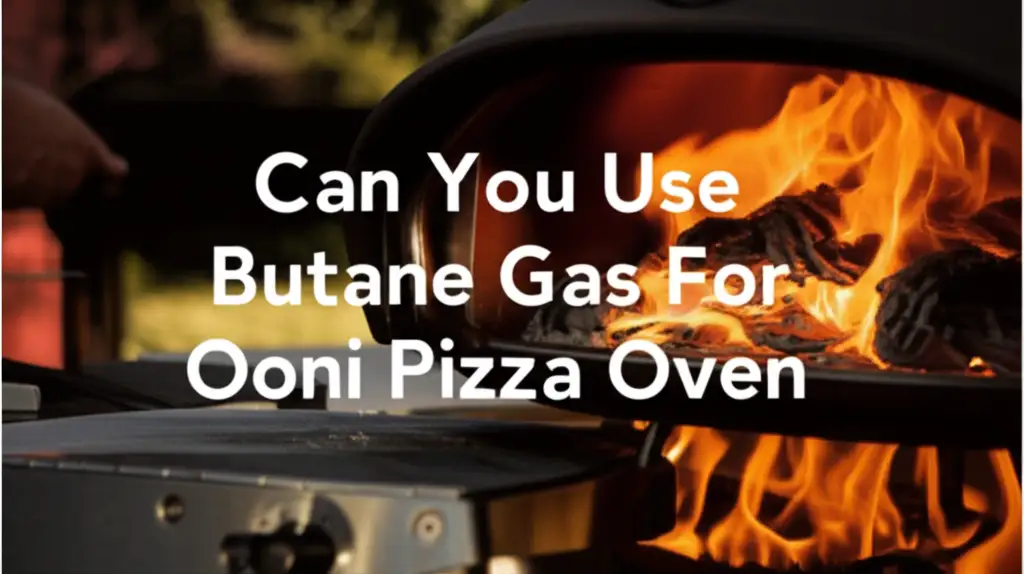 Can You Use Butane Gas For Ooni Pizza Oven