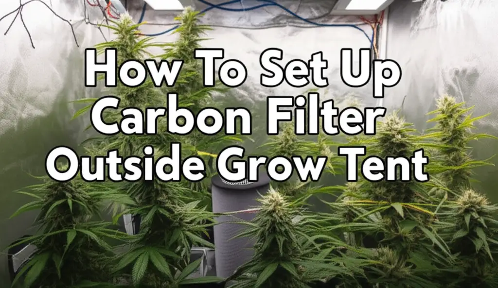 Learn how to set up a carbon filter outside your grow tent for superior odor control, space saving, and optimized air quality.