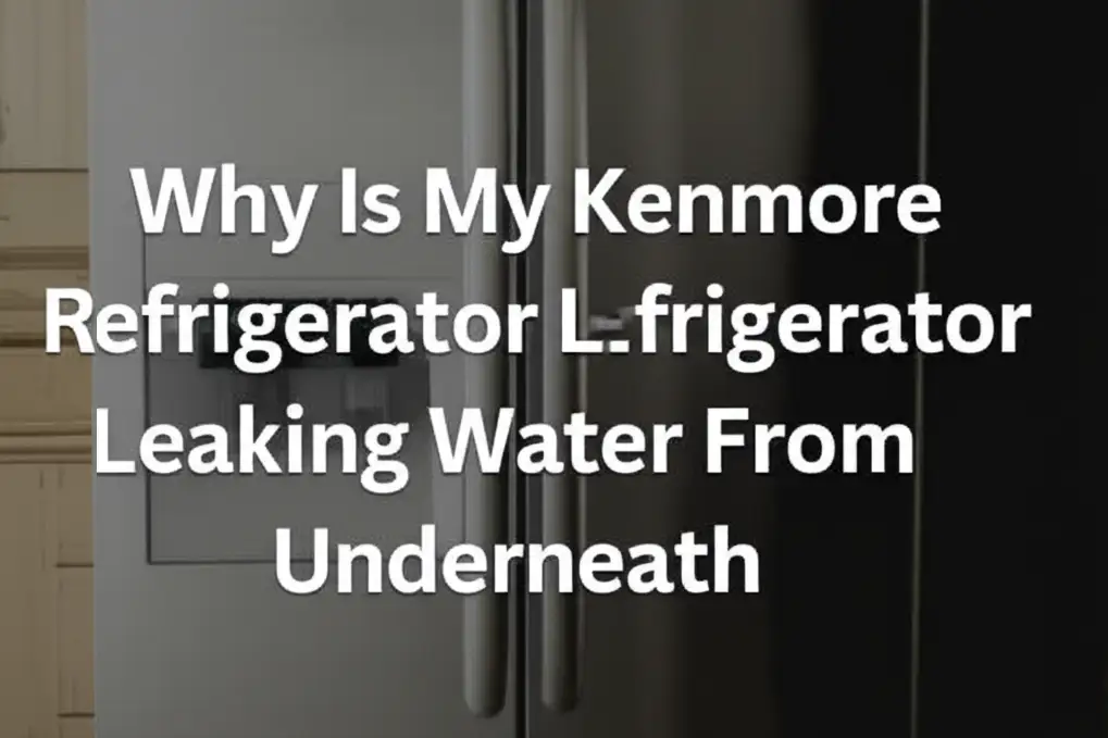 Why Is My Kenmore Refrigerator Leaking Water From Underneath
