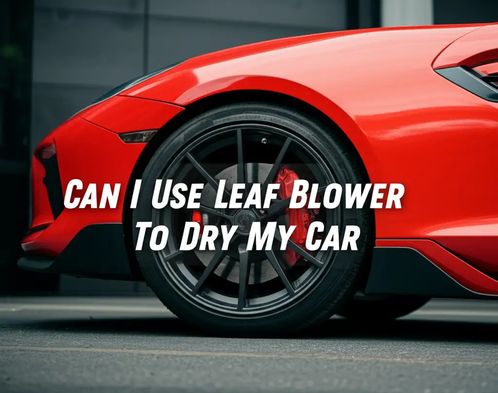 Can I Use Leaf Blower To Dry My Car