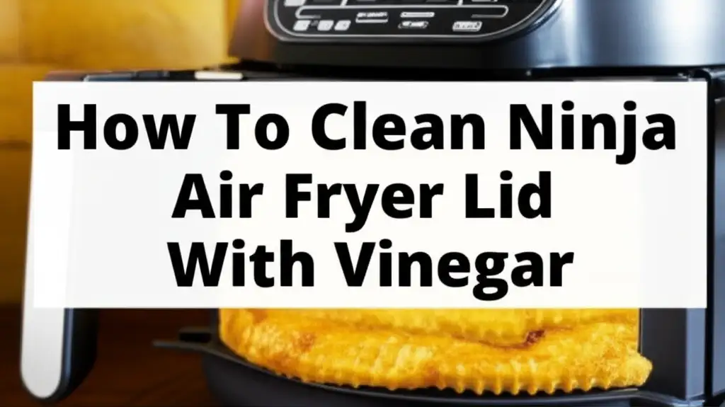 How To Clean Ninja Air Fryer Lid With Vinegar