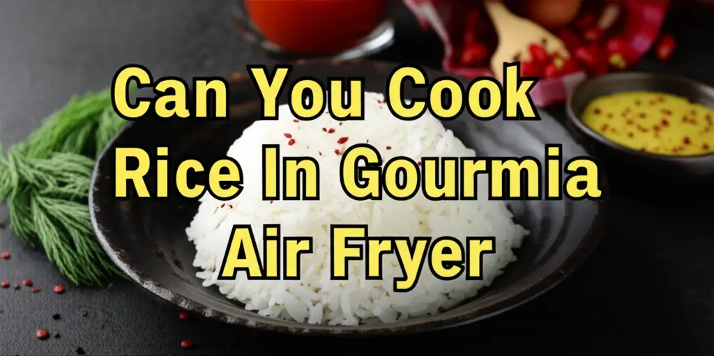 Can You Cook Rice In Gourmia Air Fryer