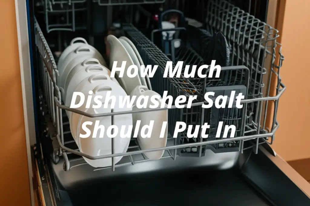 How Much Dishwasher Salt Should I Put In
