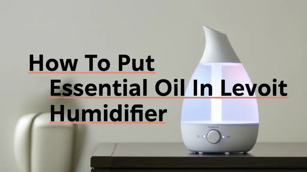 How To Put Essential Oil In Levoit Humidifier