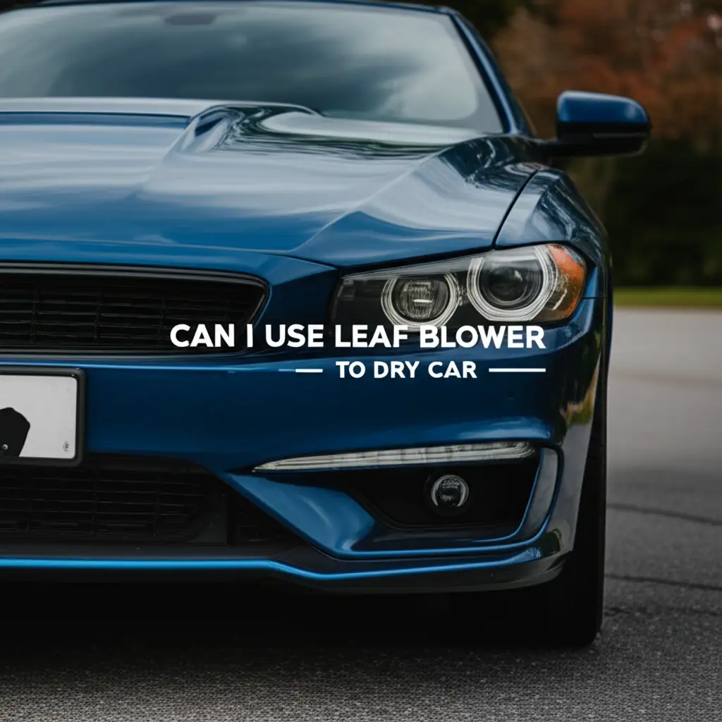 Can I Use Leaf Blower To Dry Car